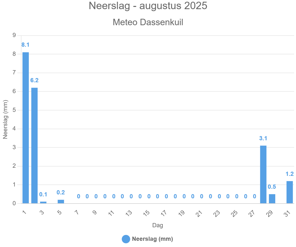 Neerslag – augustus 2025