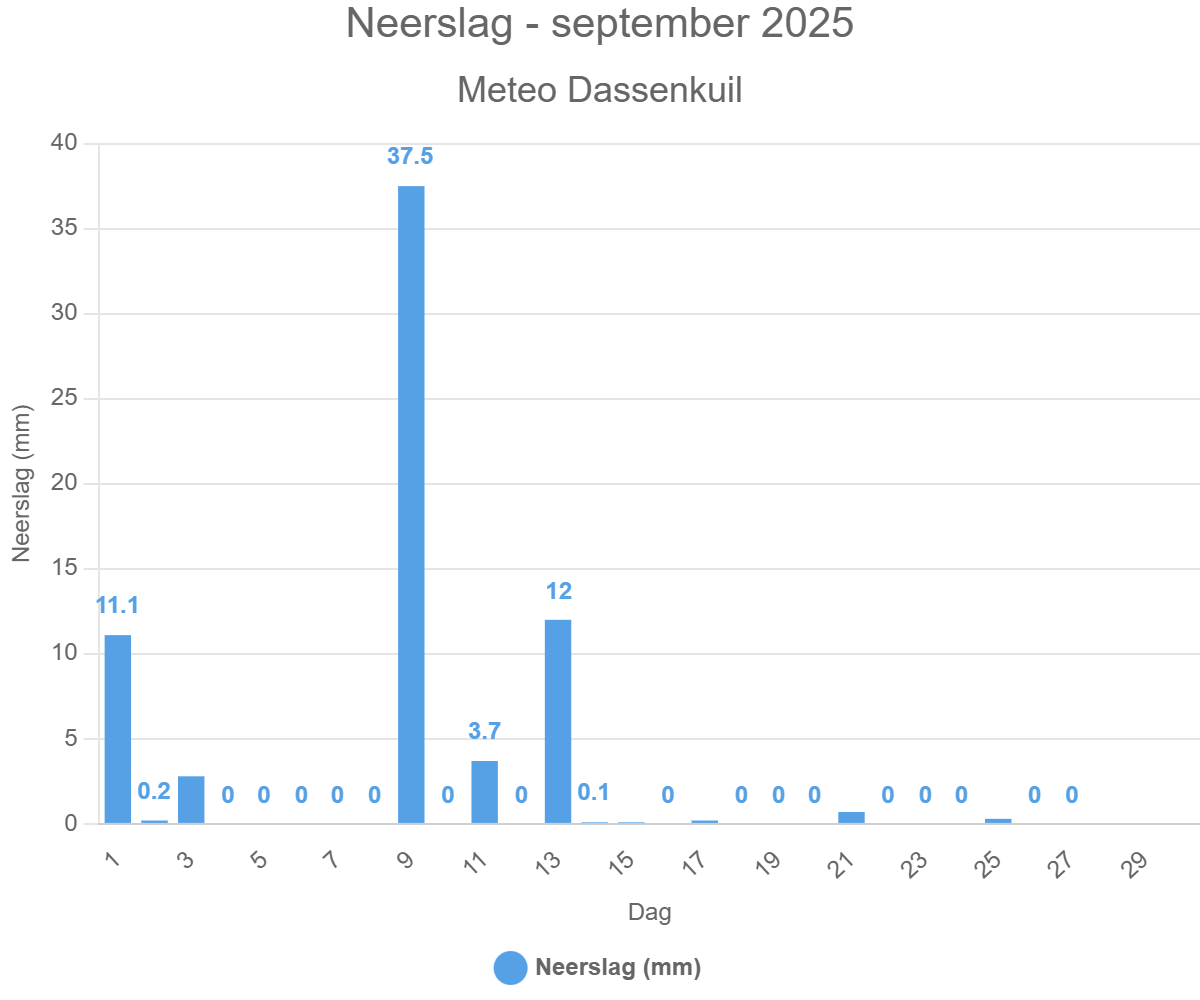 Neerslag – september 2025