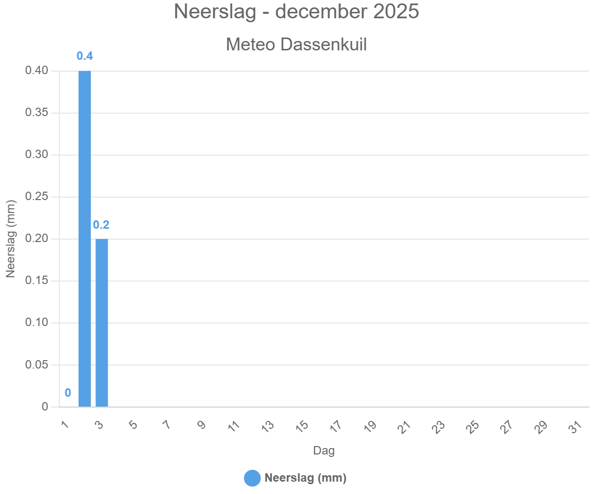 Neerslag – december 2025
