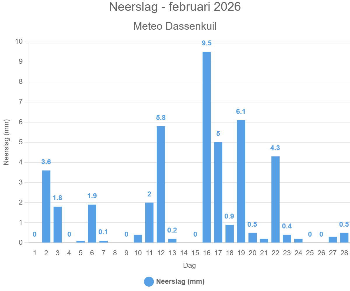 Neerslag – februari 2026