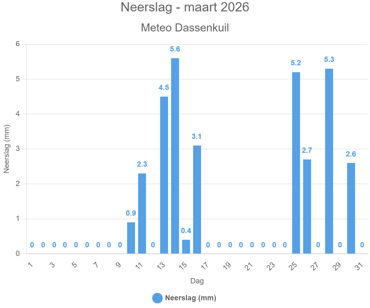 Neerslag – maart 2026