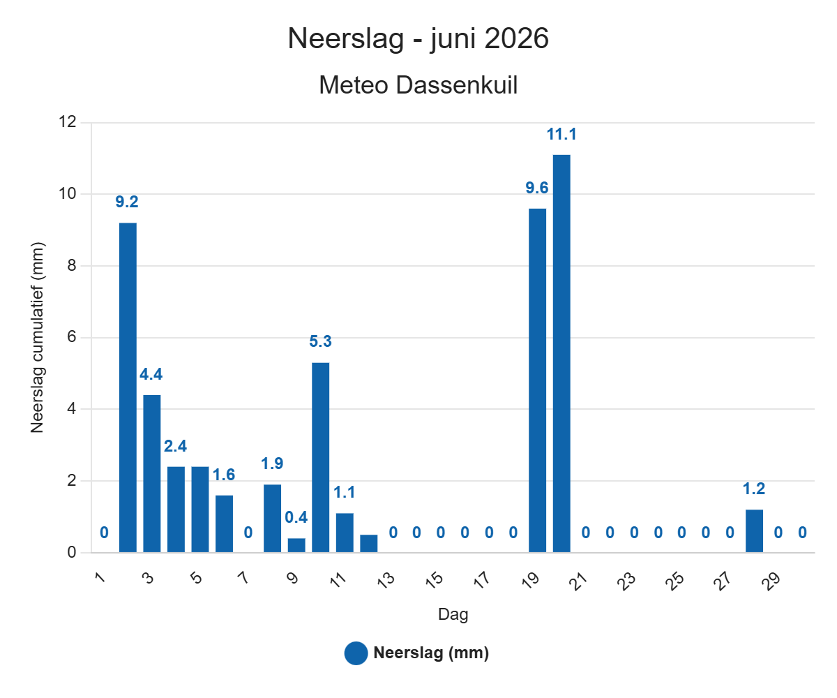 Neerslag – juni 2026